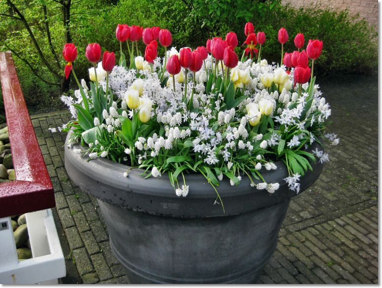Holland (138)1.jpg